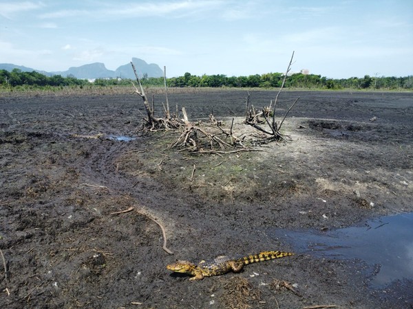 A Iguá Saneamento, responsável pelo esgoto da região, tem sido criticada por falhas na gestão hídrica e falta de medidas efetivas para a preservação ambiental, o que gerou insatisfação entre ambientalistas e moradores. Especialistas apontam que ações paliativas são insuficientes para resolver o problema, sugerindo que a concessionária priorize medidas que garantam a sustentabilidade do ecossistema local.